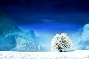 世界保龄球高校联赛赛季技术回顾与人才培养建议公开，世界保龄球大赛